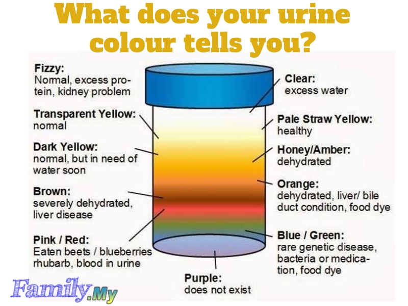 What the Color of Your Urine Says About Your Health